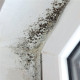D-95 Cleaner ΑΝΤΙΜΟΥΧΛΙΚΟ ΚΑΘΑΡΙΣΤΙΚΟ ΥΓΡΟ ΓΙΑ ΜΟΥΧΛΑ ΑΠΟ ΤΟΙΧΟΥΣ ΚΑΙ ΤΑΒΑΝΙΑ 500ml DUROSTICK ΝΤ9502 D-95 Cleaner ΑΝΤΙΜΟΥΧΛΙΚΟ ΚΑΘΑΡΙΣΤΙΚΟ ΥΓΡΟ ΓΙΑ ΜΟΥΧΛΑ ΑΠΟ ΤΟΙΧΟΥΣ ΚΑΙ ΤΑΒΑΝΙΑ 500ml DUROSTICK ΝΤ9502