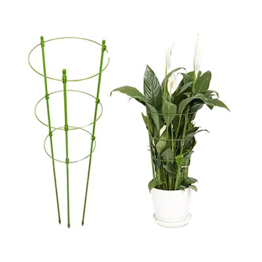 Στήριγμα φυτών σετ 3 τεμαχίων 0,7Cmx75Cm OEM 841666 Στήριγμα φυτών σετ 3 τεμαχίων 0,7Cmx75Cm OEM 841666