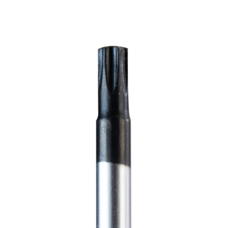 ΚΑΤΣΑΒΙΔΙ TORX ME ΤΡΥΠΑ TT20 x 100 mm S2 BORMANN PRO BHT7032 045939