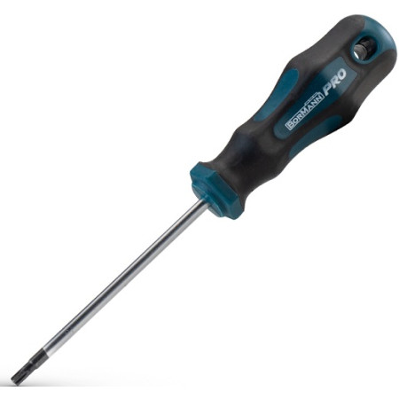 ΚΑΤΣΑΒΙΔΙ TORX ME ΤΡΥΠΑ TT20 x 100 mm S2 BORMANN PRO BHT7032 045939