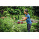 Μπορντουροψάλιδο μπαταρίας 475mm 18V Einhell GC-CH 18/40 Li Solo 3410940 Μπορντουροψάλιδο μπαταρίας 475mm 18V Einhell GC-CH 18/40 Li Solo 3410940