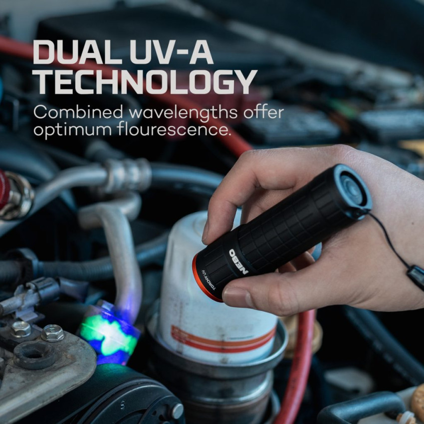 ΦΑΚΟΣ NEBO TORCHY UV και Black Light NEB-FLT-1061-G