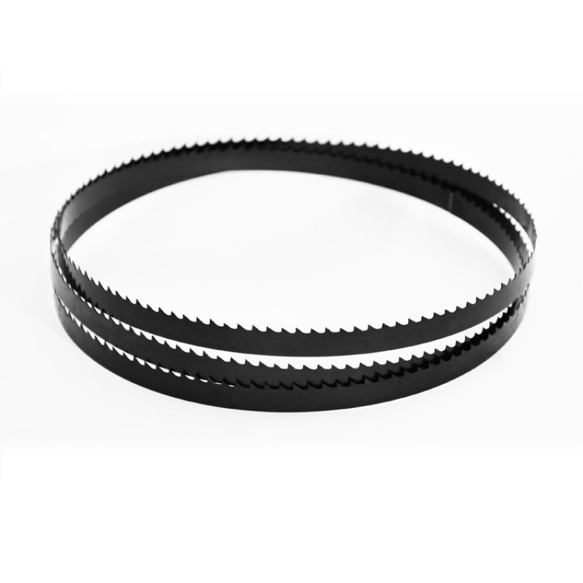 BOSTON: ΠΡΙΟΝΟΤΑΙΝΙΑ 1430 x10 mm